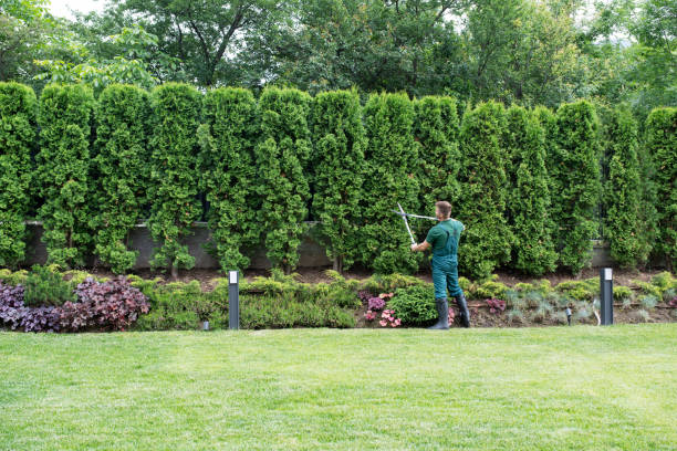 Best Tree Pruning Services  in Goose Creek Village, VA